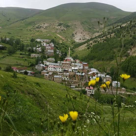 f1d73282-d6db-47fd-b01a-e8b873781a7c