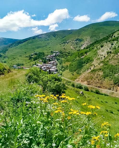 7f41c266-b5b8-4d3e-a195-3c761b796491