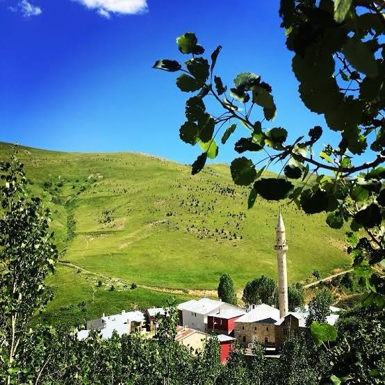 03b58371-eb90-463c-b9bf-bc27dd7c348a